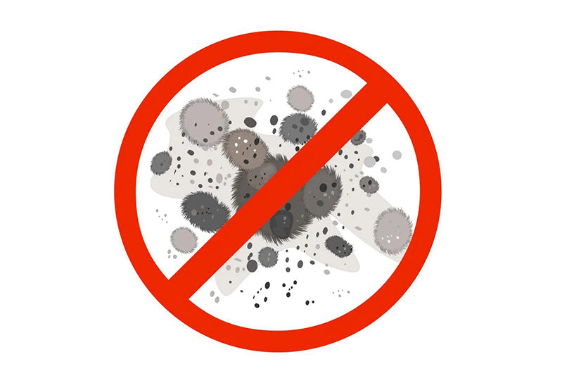 Do Air Purifiers Help with Mold?