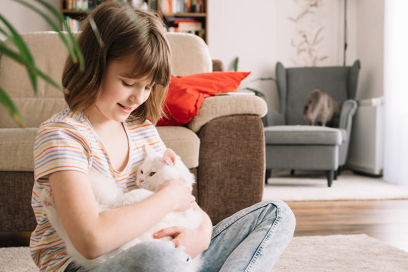 How Often to Change Air Filter in Condo And How to Install