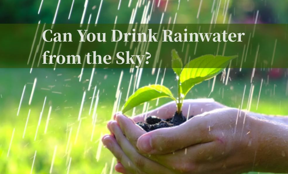 Is Rain Water Safe to Drink Straight from the Sky