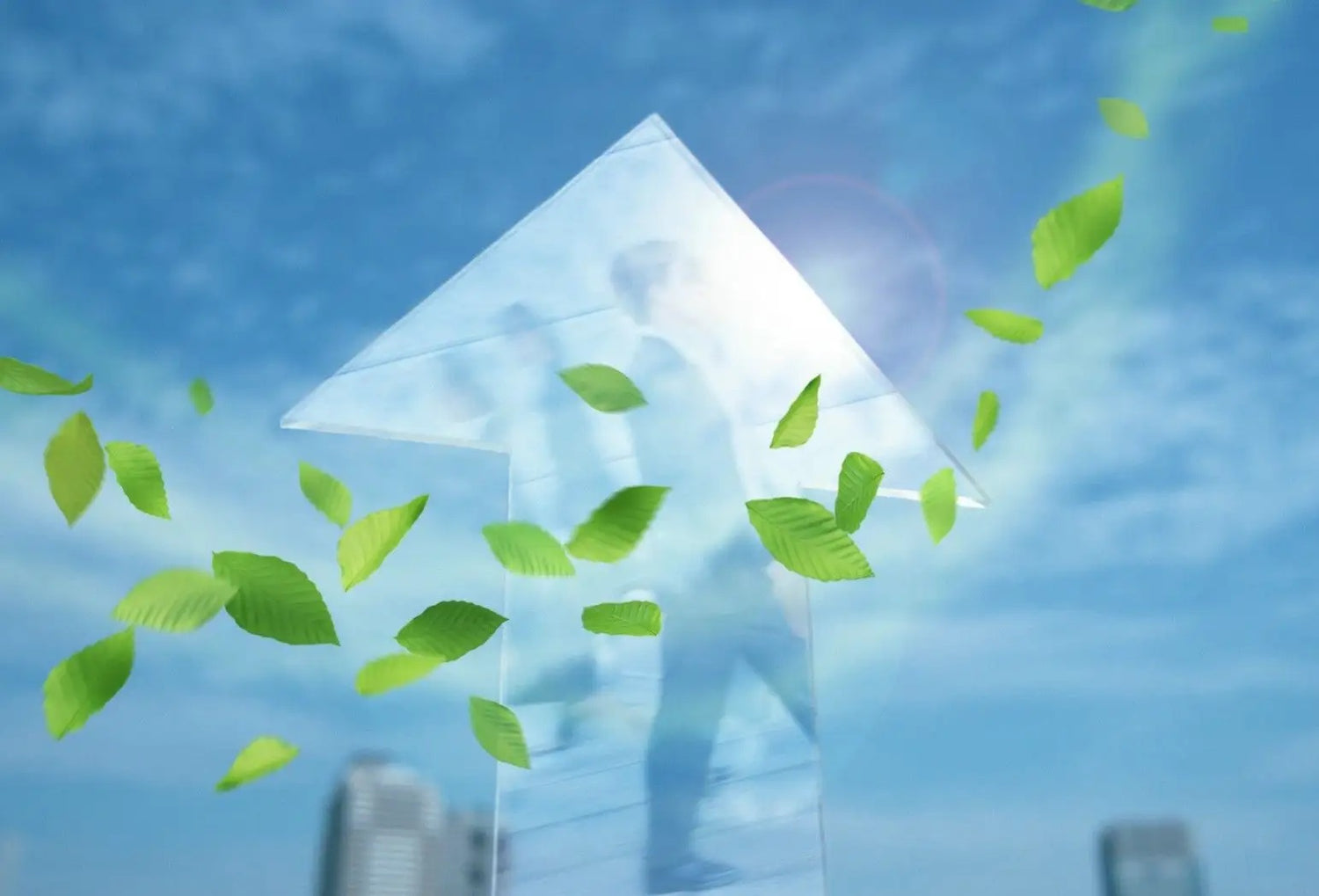 One Article Helps You Know What Does a Hepa Filter Remove