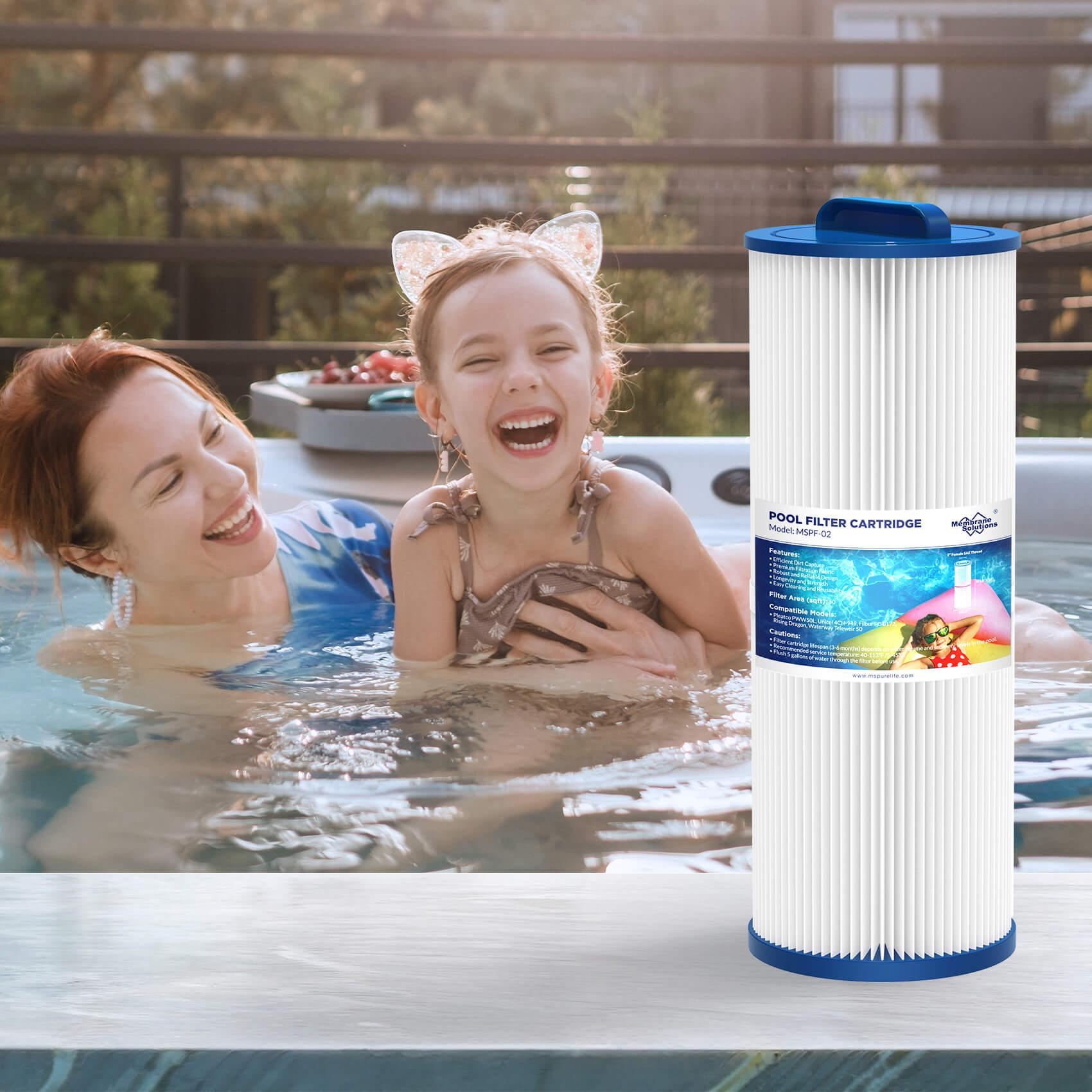 F2 Swimming Pool Filter Cartridge Replacement