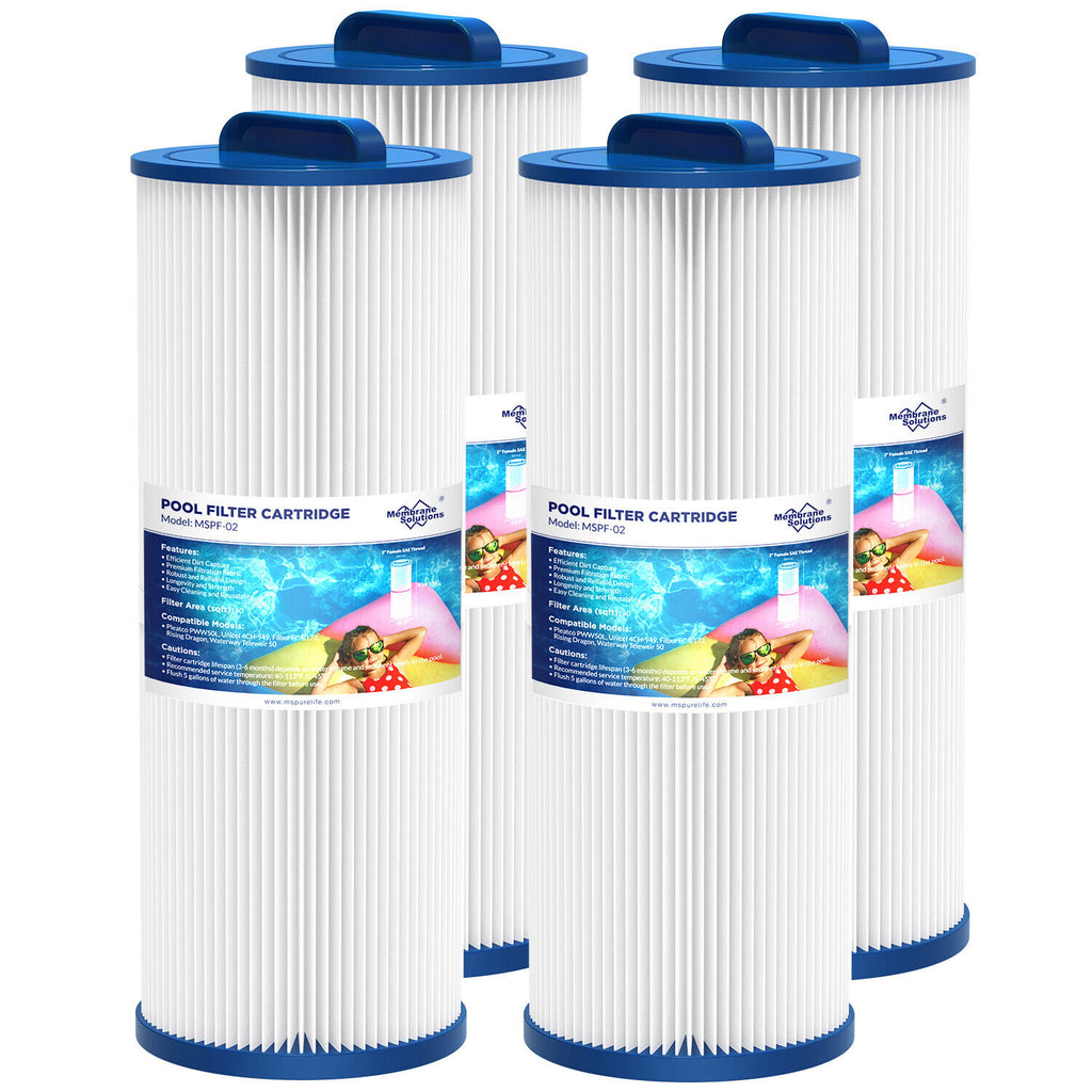 F2 Swimming Pool Filter Cartridge Replacement