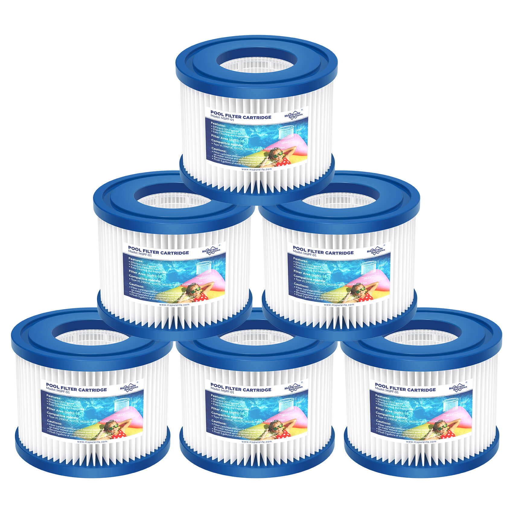 F1 Type VI Small Pool Filter Replacement