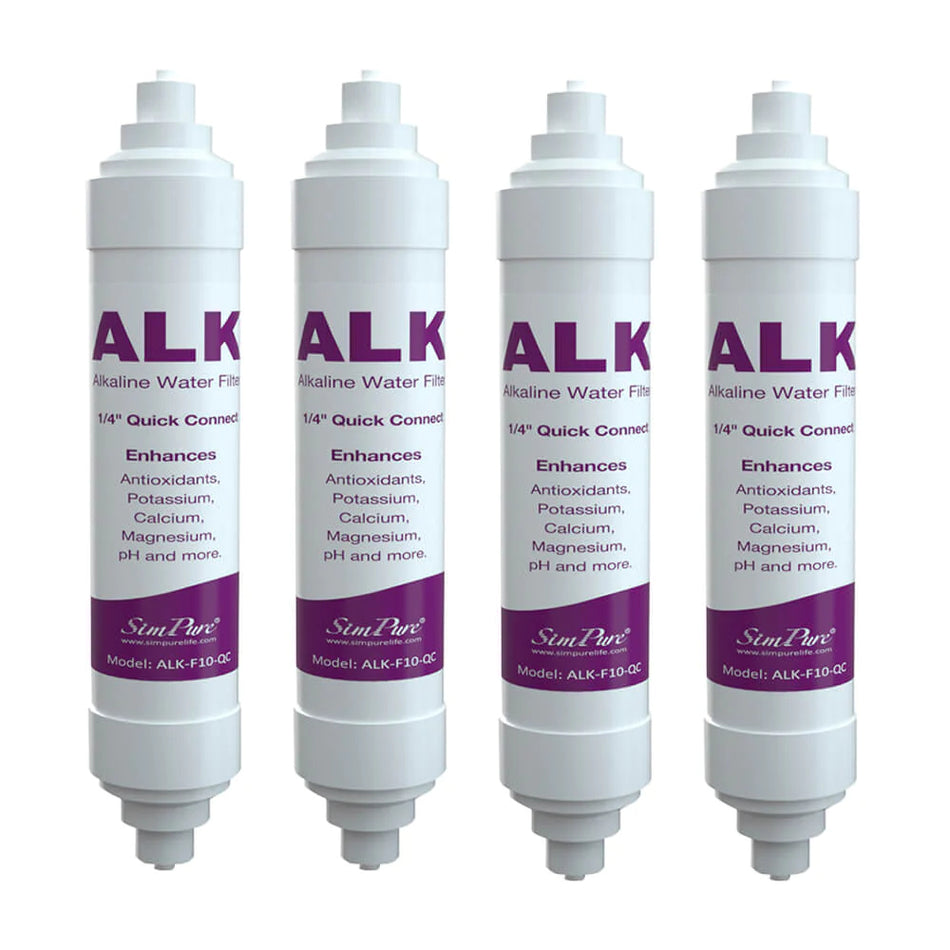 Alkaline Filter Replacement