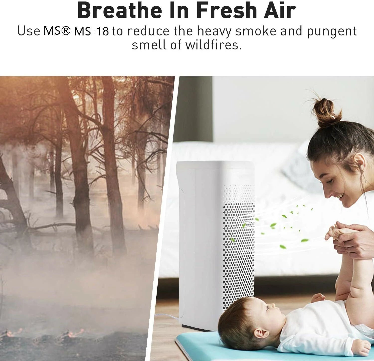 MS18 HEPA Air Purifier for Smoke