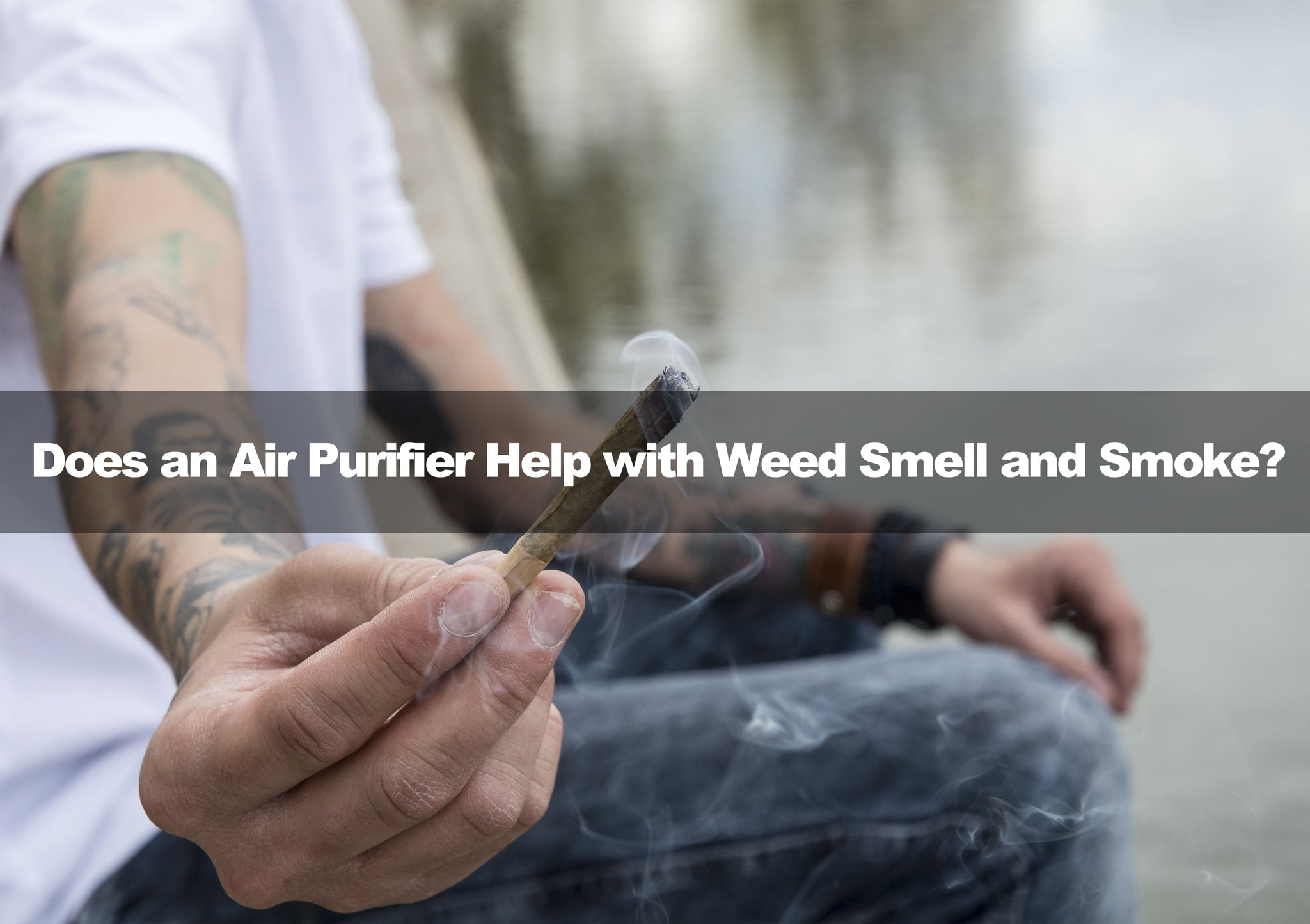 Does an Air Purifier Help with Weed Smell and Smoke?Yes, But How