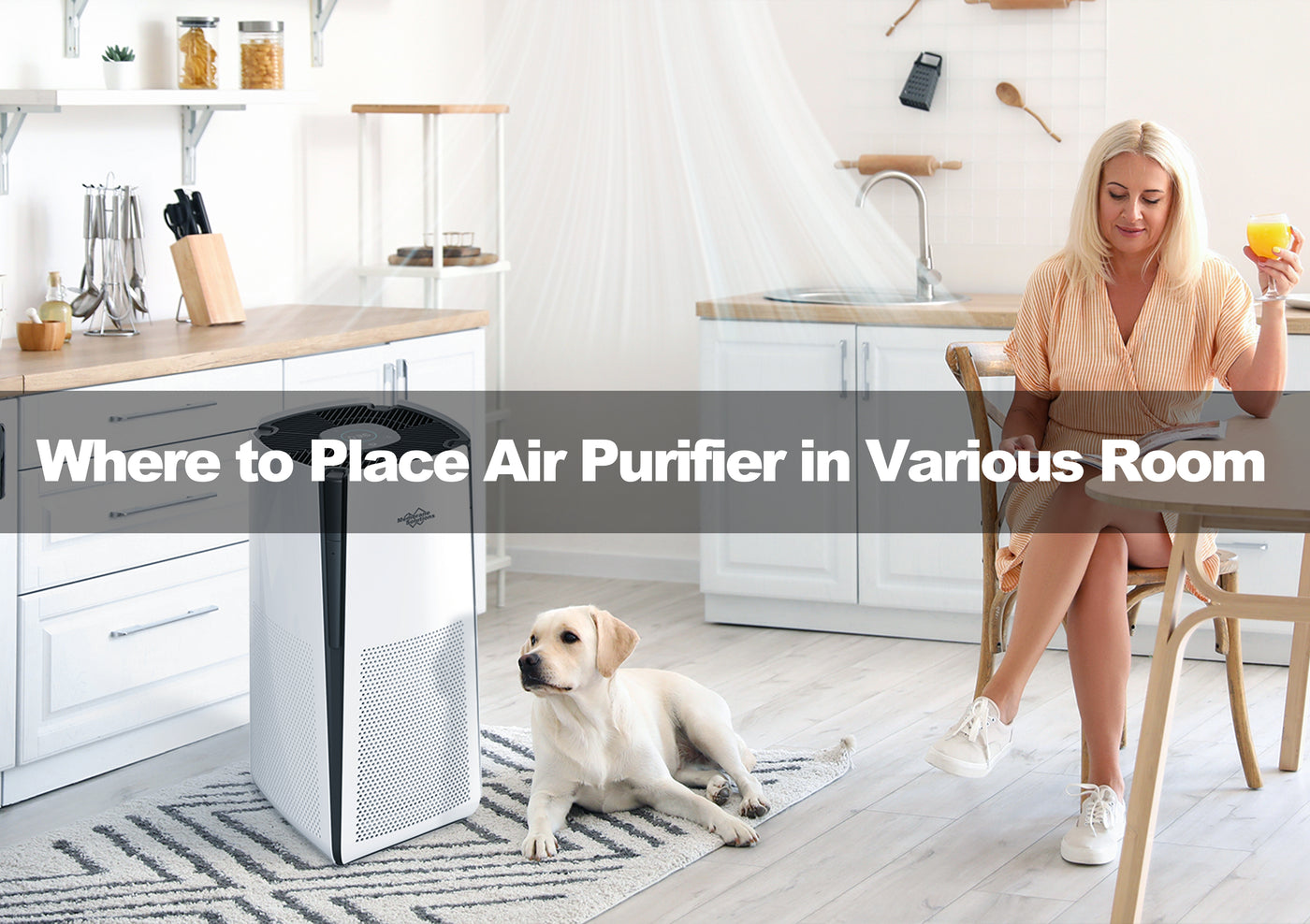 Where to Place Air Purifier in Various Room