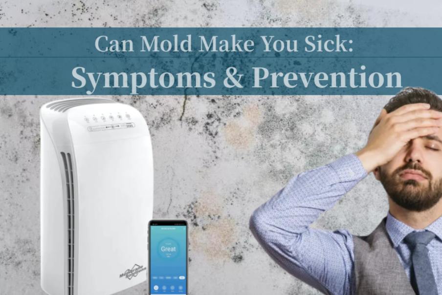 can mold make you sick