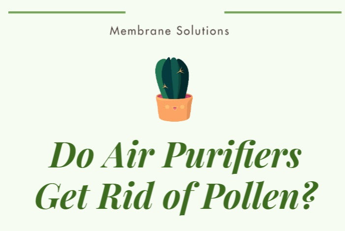 do air purifiers get rid of pollen and help with pollen allergies