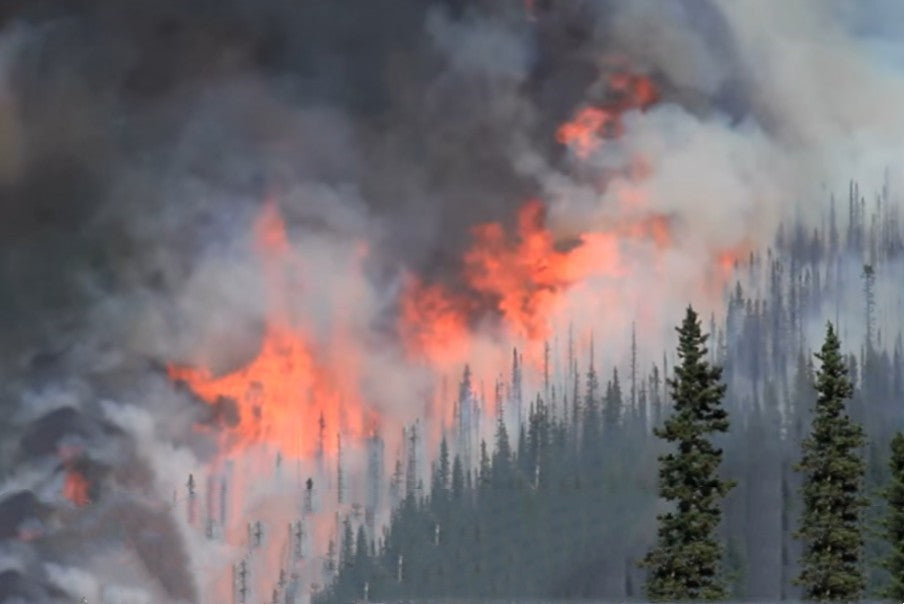 how to get rid of wildfire smoke in house