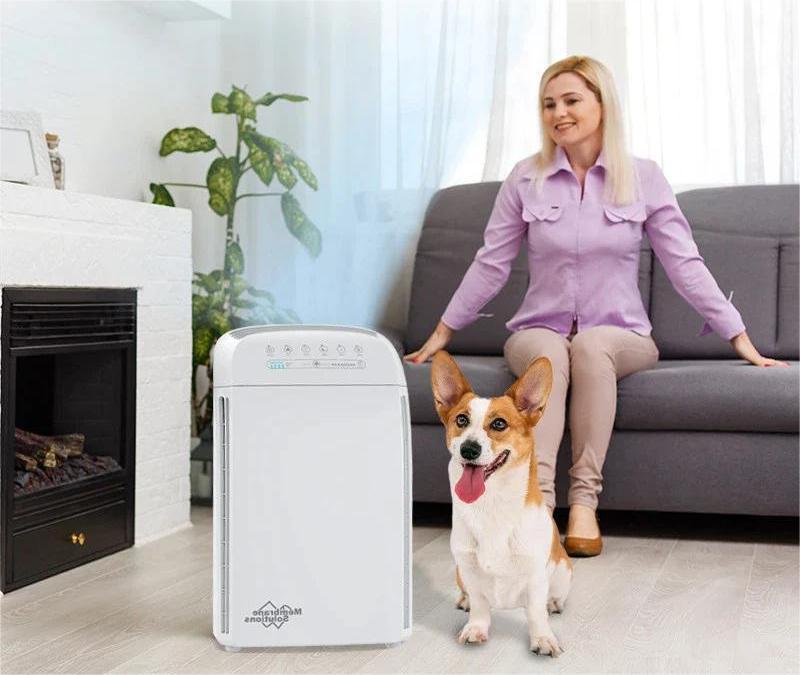 How to remove common pollutants of air