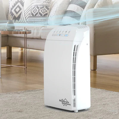 How to Properly Use an Air Purifier