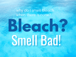 Why Do I Smell Bleach When There is None