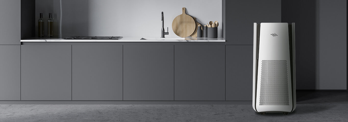 MS600 HEPA air purifiers for kitchen