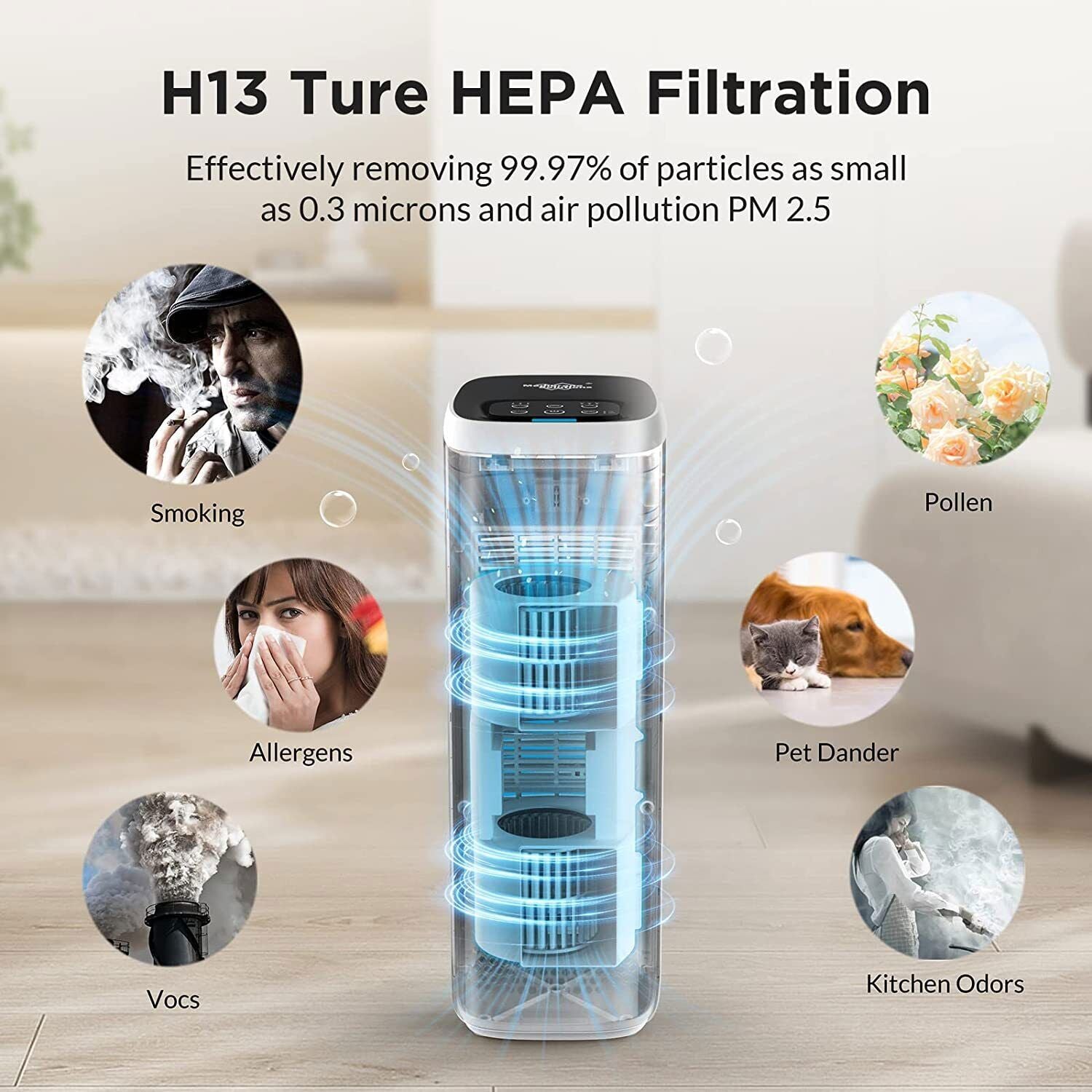 MS19 Ozone-free Air Purifier Help With Smoke