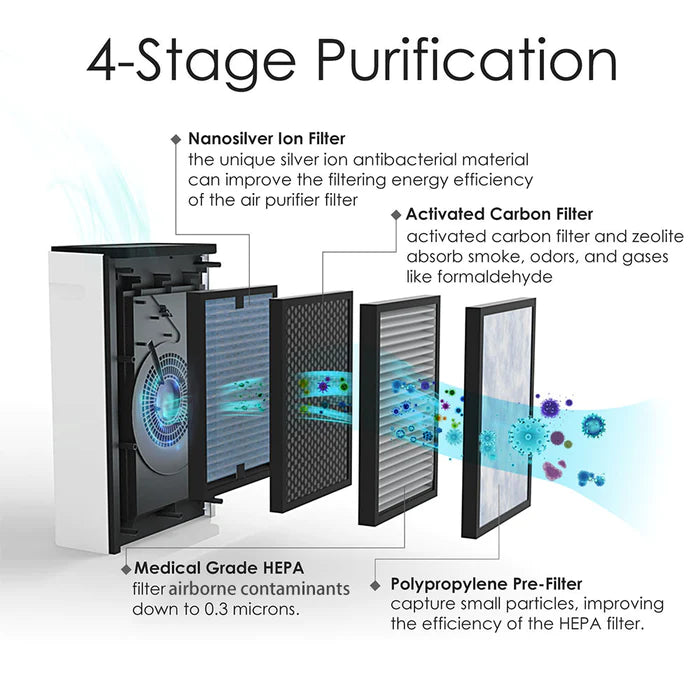 Do Air Purifiers Work for Pet Odor, Hair & Allergies? (Can They