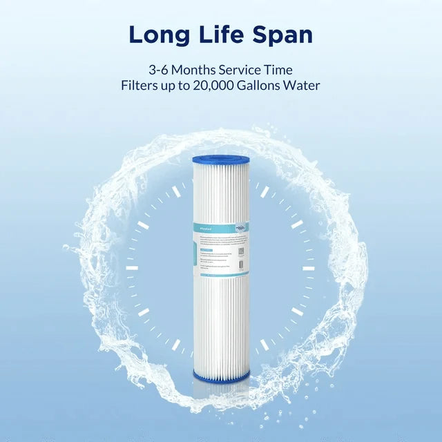 PE Pleated Filter