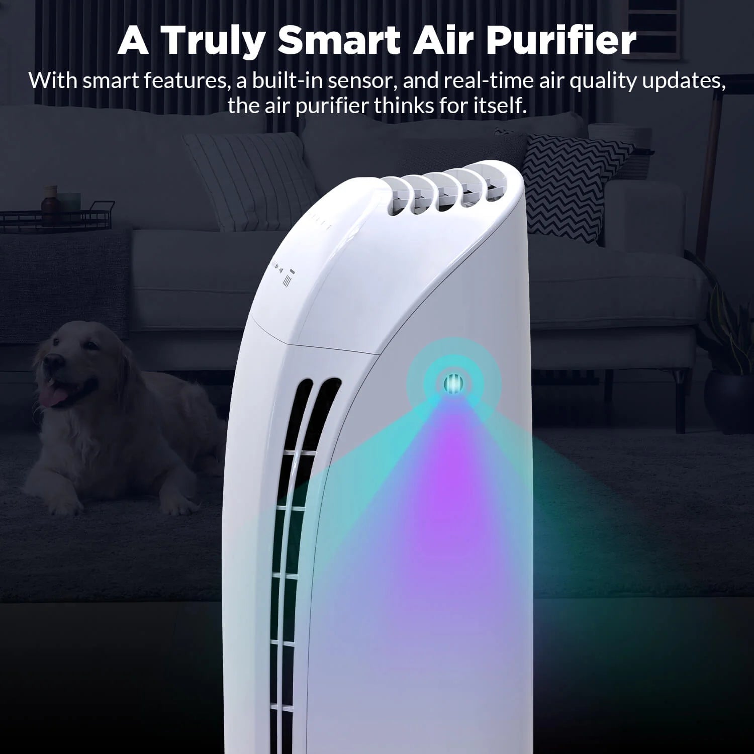 One Products Neo Smart Air Purifier 3-in-1 HEPA Filter - Timer - Google  Home & Alexa Compatible & Reviews