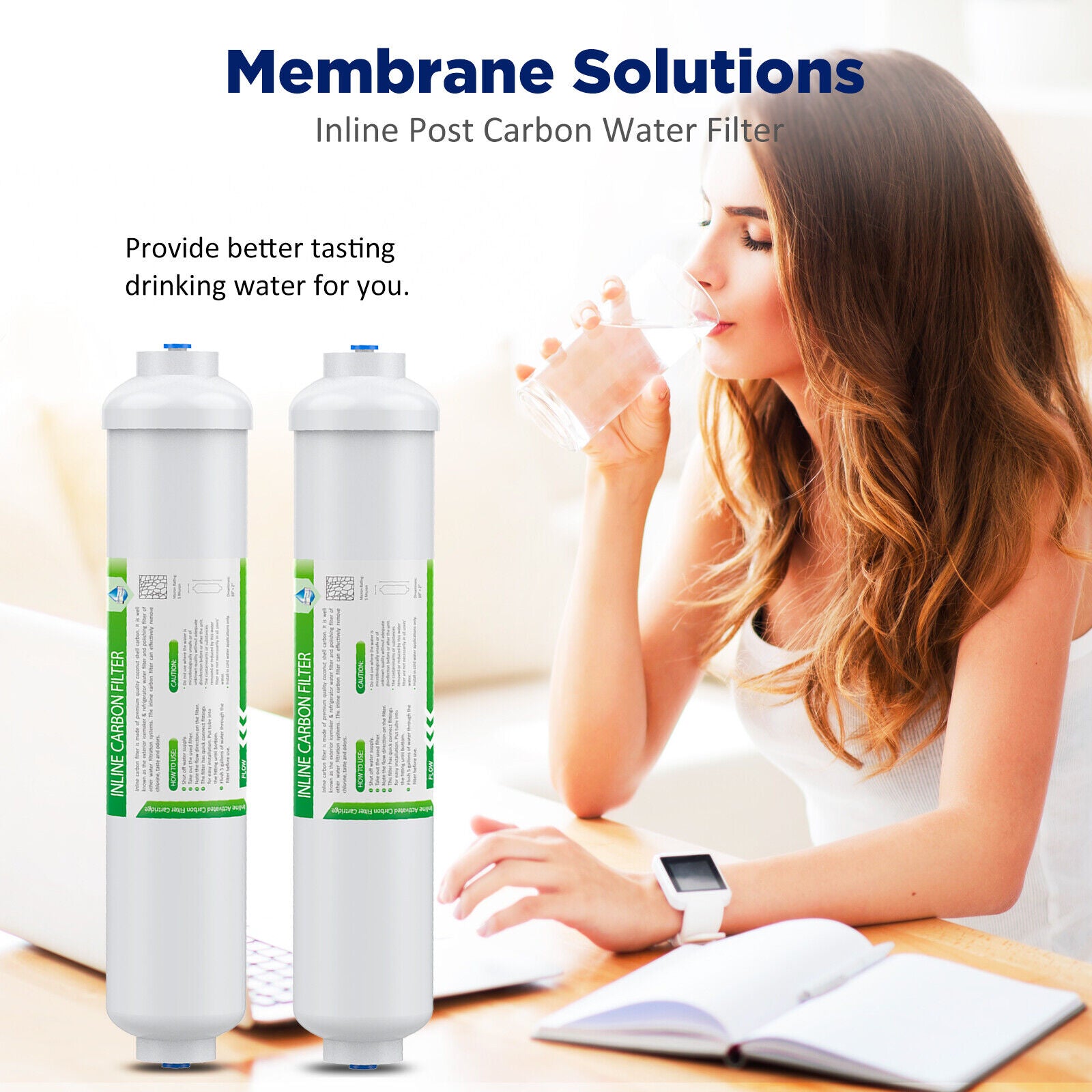 T33 Inline Post Carbon Polishing Water Filter 1/4" Quick Connect