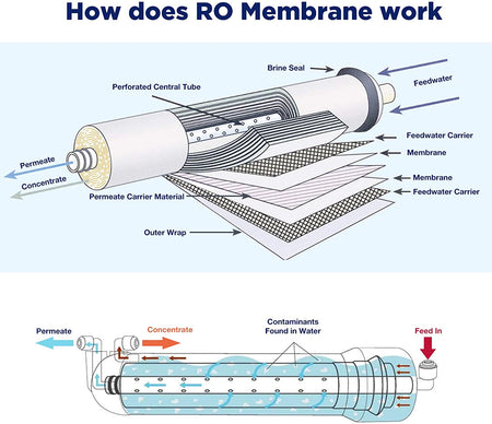 Reverse Osmosis Membrane