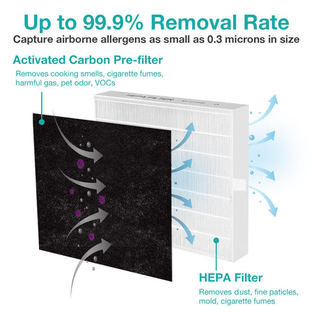 coway air filter replacement 