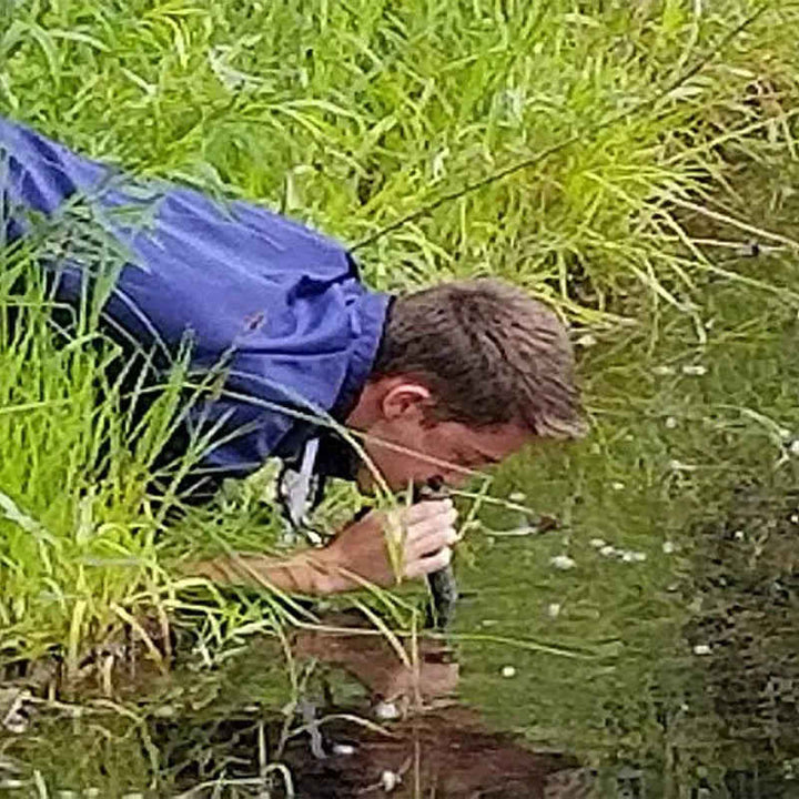 application of Purifying Water Straw